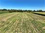 11 Acre Hobby Farm Close to Waterfront for Sale, Blenheim, Ontario