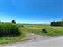 11 Acre Hobby Farm Close to Waterfront for Sale, Blenheim, Ontario