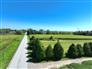 11 Acre Hobby Farm Close to Waterfront for Sale, Blenheim, Ontario