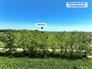 11 Acre Hobby Farm Close to Waterfront for Sale, Blenheim, Ontario