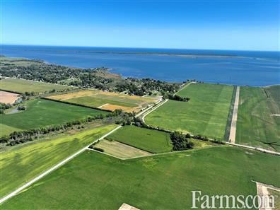 11 Acre Hobby Farm Close to Waterfront for Sale, Blenheim, Ontario