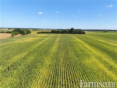 94 Acres workable in Chatham-Kent! for Sale, Tupperville, Ontario