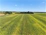 94 Acres workable in Chatham-Kent! for Sale, Tupperville, Ontario