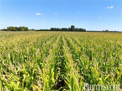 94 Acres workable in Chatham-Kent! for Sale, Tupperville, Ontario