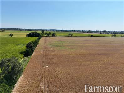 94 Acres workable in Chatham-Kent! for Sale, Tupperville, Ontario