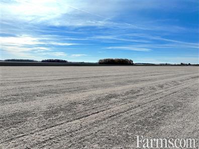 145 Acres Workable Farmland with Farm House for Sale, Dawn-Euphemia, Ontario