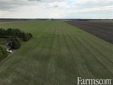 75 Acres Farmable for $1,500,000 for Sale, Pain Court, Ontario