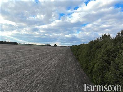 50 Acres Prime Agricultural Land - $1,550,000 for Sale, Pain Court, Ontario