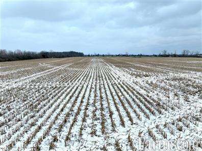 83 Acres outside Amhersturg - 30 minutes from USA border for Sale, AMHERSTBURG, Ontario