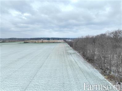 83 Acres outside Amhersturg - 30 minutes from USA border for Sale, AMHERSTBURG, Ontario