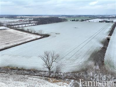 83 Acres outside Amhersturg - 30 minutes from USA border for Sale, AMHERSTBURG, Ontario