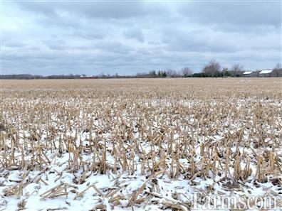 83 Acres outside Amhersturg - 30 minutes from USA border for Sale, AMHERSTBURG, Ontario