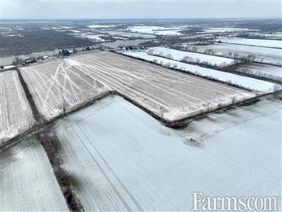 83 Acres outside Amhersturg - 30 minutes from USA border for Sale, AMHERSTBURG, Ontario