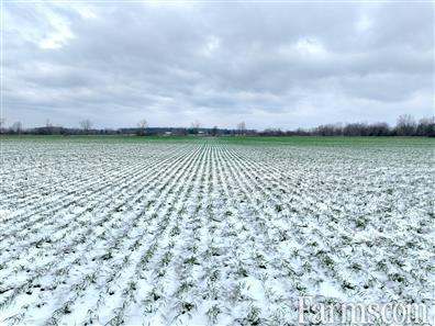 83 Acres outside Amhersturg - 30 minutes from USA border for Sale, AMHERSTBURG, Ontario