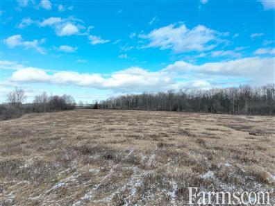 104 Acres of Farmland & Recreation! for Sale, Dawn-Euphemia, Ontario