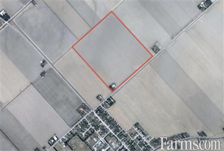 100+ Acres in Chatham-Kent with House & Grain Storage for Sale, Pain Court, Ontario