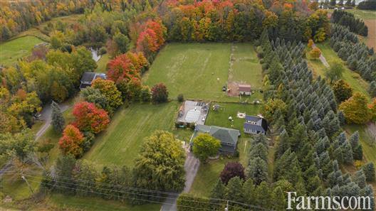 4 Acre Country Property & Hobby Farm for Sale, Amaranth, Ontario