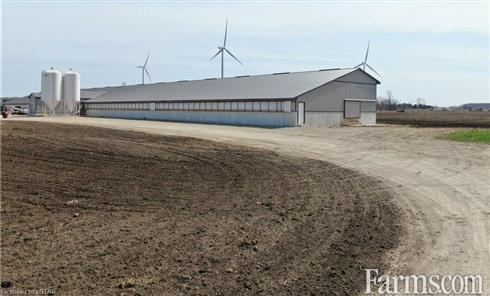 TurnKey Hog Finishing Barn on 50 acres for Sale, Lucknow, Ontario