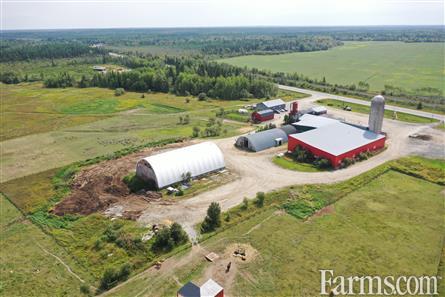 Dream Farm Awaits You for Sale, Hallebourg, Ontario