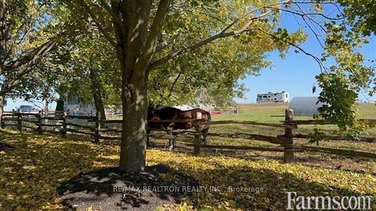 97 ACRE FARM IN BLACKSTOCK ON. for Sale, SCUGOG, Ontario