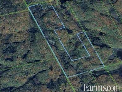 Game Land /Maple Sryup Opportunity for Sale, Faraday, Ontario