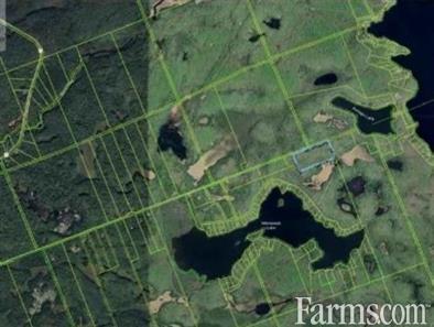 Wooded Landscape property off Minnicock Lake Road for Sale, Highlands East, Ontario