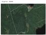 198 acres Mixed Forest land for Sale