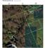 Forested land for Sale, North Frontenac, Ontario