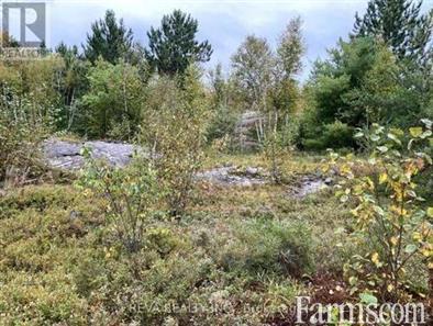 Hunting Land for Sale, Greater Sudbury, Ontario