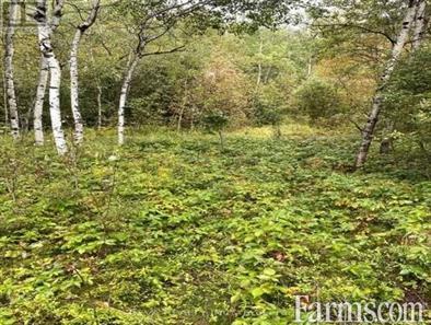 Hunting Land for Sale, Greater Sudbury, Ontario