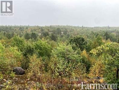 Hunting Land for Sale, Greater Sudbury, Ontario