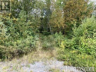 Hunting Land for Sale, Greater Sudbury, Ontario