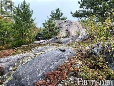 Hunting Land for Sale, Greater Sudbury, Ontario