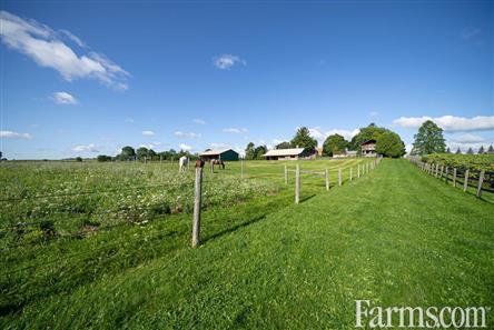 83 Acres - "The Golden Village" - 14 Biggars Lane, Brant County for Sale, Brant County, Ontario