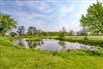 Scenic 73.5 Acres - Mix of Farmland & Bush for Sale, Caistor Centre, West Lincoln, Ontario