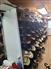 Western Boot & Tack for Sale, Brownsville, Ontario