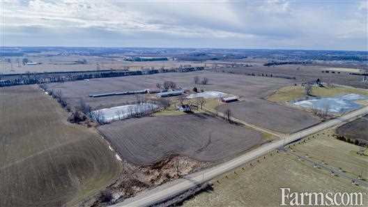 Cash Crop for Sale, Putnam, Ontario