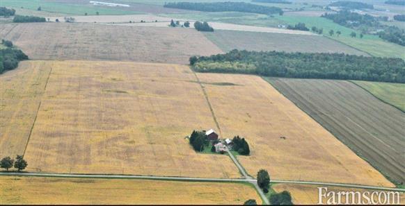 Bare Land in Huron County - 96 Workable Acres for Sale, Hensall, Ontario