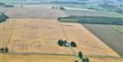 101.41 acres Bare Land in Huron County - 96 Workable Acres for Sale