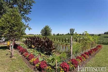 Hobby Farm for Sale, Shedden, Ontario