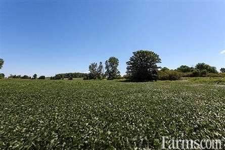 Hobby Farm for Sale, Shedden, Ontario