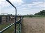 23 Acre Equestrian for Sale, Springfield, Ontario