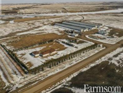 Farm Land for Sale, McLeod Land, Saskatchewan
