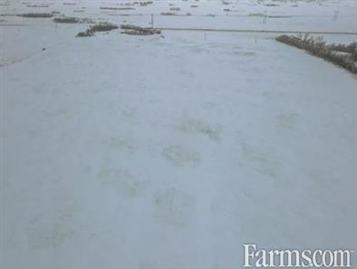 Grain Land for Sale, Mountain Valley, Saskatchewan
