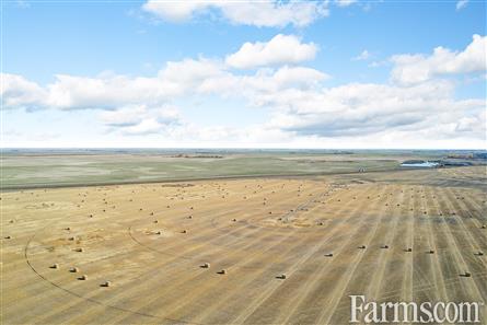 Grain land for Sale, Blucher, Saskatchewan