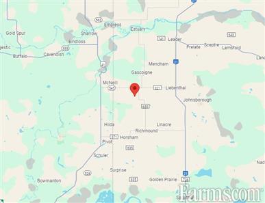 Grain Land in the RM of Deer Forks #232 for Sale, Deer Forks, Saskatchewan