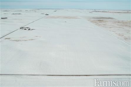 Grain Land in the RM of Deer Forks #232 for Sale, Deer Forks, Saskatchewan
