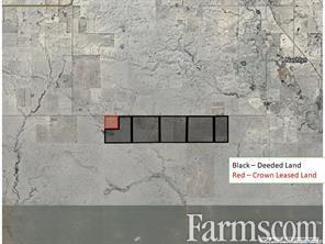 RM 051 Reno Land for Sale, Reno, Saskatchewan