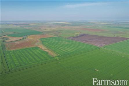 9 Quarters of Grain Land for Sale, Wilcox, Saskatchewan