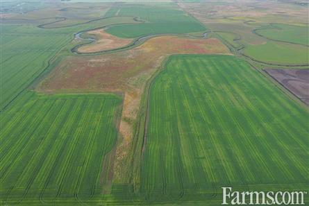 9 Quarters of Grain Land for Sale, Wilcox, Saskatchewan